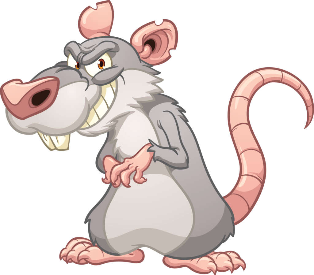 If you have a lot of rats you need a rat extermination